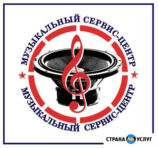Ремонт, рестоврация гитар И других струнных Москва - изображение 1