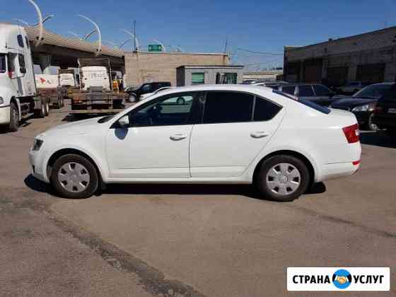 Аренда раскат Skoda Octavia Санкт-Петербург