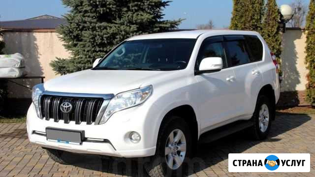Аренда авто Сочи - изображение 1