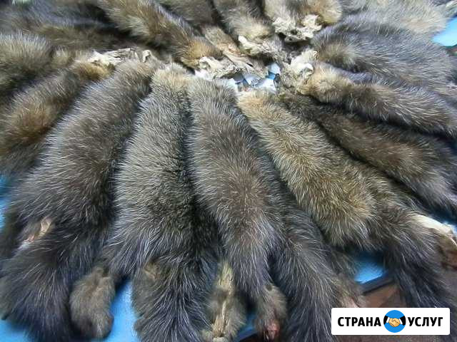 Эксклюзивный пошив шубы из соболя Томск - изображение 1