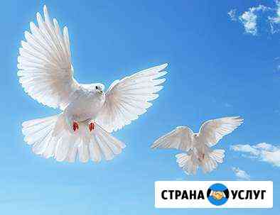 Натяжные потолки в Ногинске Павловский посад Ногинск