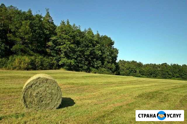 Сено Павловка - изображение 1