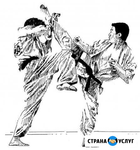 Карате для детей от 4 х лет спорт-здоровье, сила Симферополь - изображение 1
