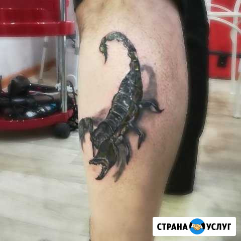 Тату Реутов Тату Москва Реутов - изображение 1