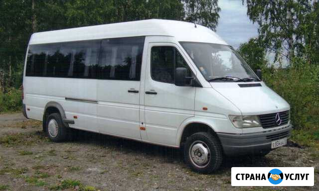 Пассажирские перевозки на микроавтобусе Мерседес Таганрог - изображение 1
