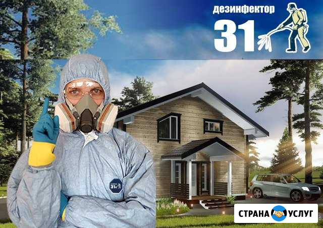 Озонирование помещений, устранение запахов Белгород - изображение 1