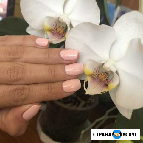 Маникюр на дому Иваново - изображение 1