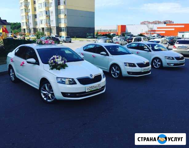 Автомобиль на Свадьбу Губкин - изображение 1