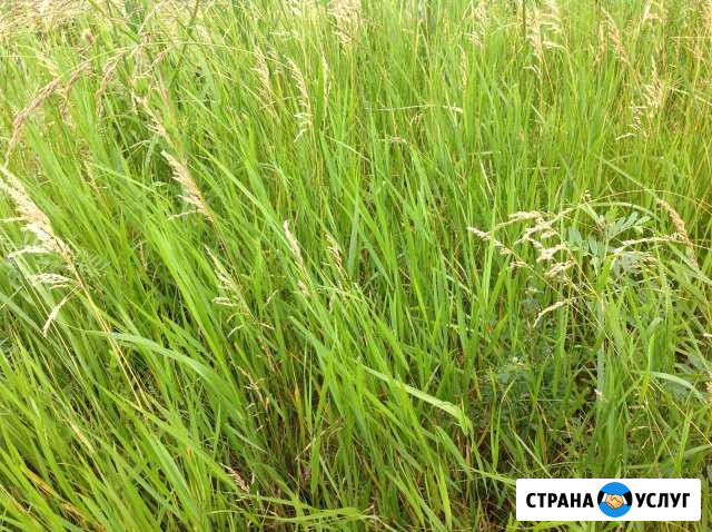 Покос травы трактором Краснодар - изображение 1