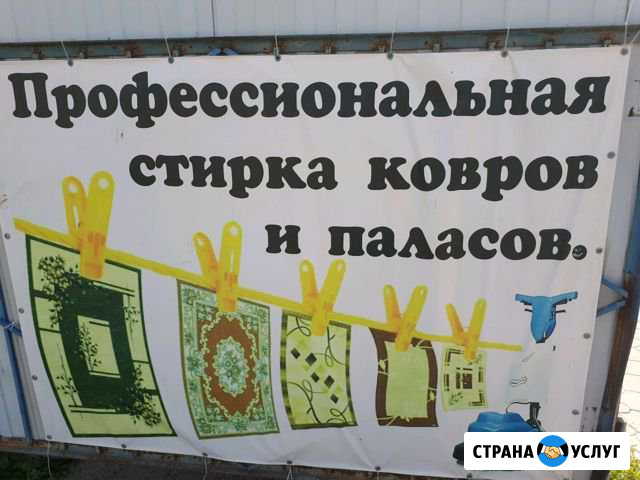 Профессиональная чистка ковров Волгодонск - изображение 1