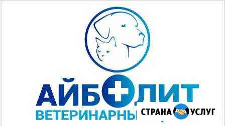 Центр ветеринарной медицины Айболит Курск