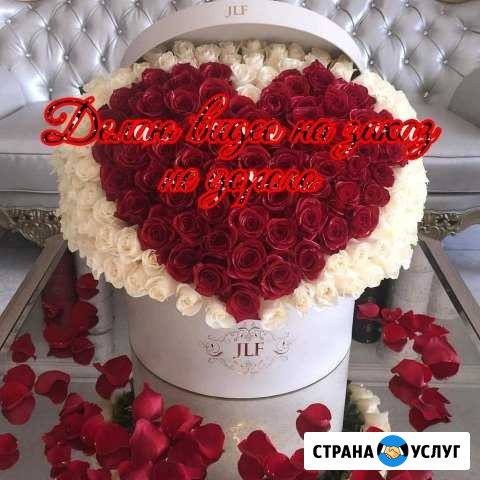 Видео на заказ Грозный - изображение 1