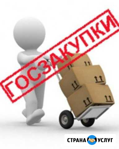 Консультации и помощь по торгам (44 и 223 фз) Бузулук - изображение 1