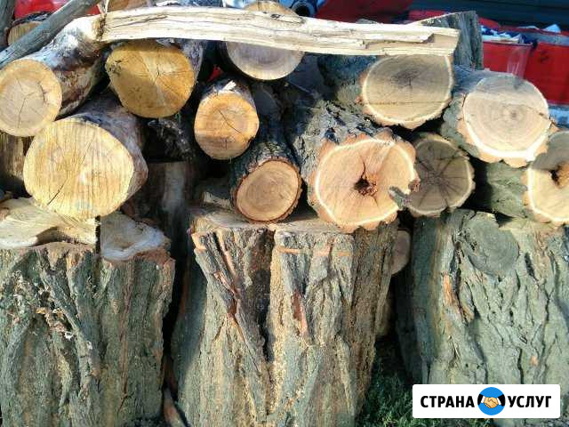 Дрова Большой Лог - изображение 1
