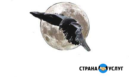 Частный детектив Москва - изображение 1