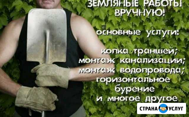 Земляные работы.Спил деревьев Владимир - изображение 1