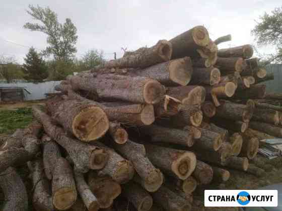 Утилизируем лес, кругляк, бревна Тула