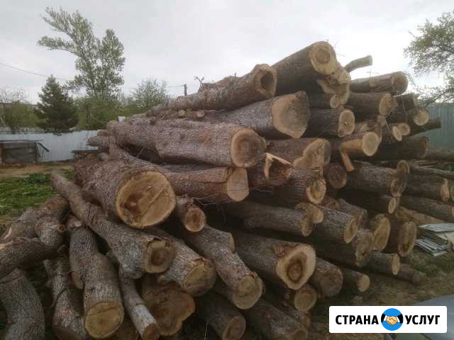 Утилизируем лес, кругляк, бревна Тула - изображение 1