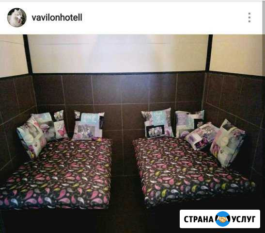 Передержка собак Электросталь - изображение 1