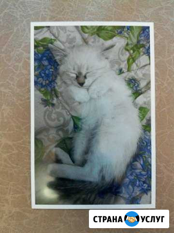 Печать, оцифровка фотографий Соликамск - изображение 1