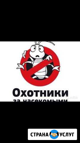 Обработка Дезинфекция Дезинсекция Дератизация унич Ярославль - изображение 1