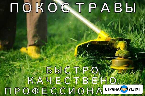 Покос травы Вологда - изображение 1