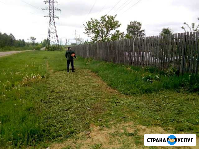 Покос травы Клинцы - изображение 1