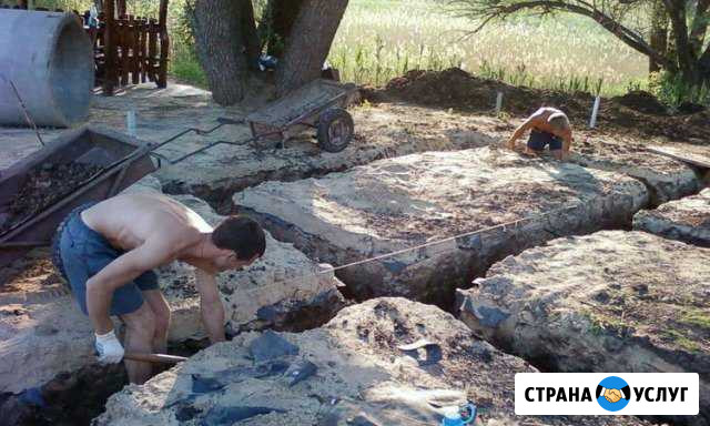 Копка ям, спил деревьев, уборка территорий Балашов - изображение 1