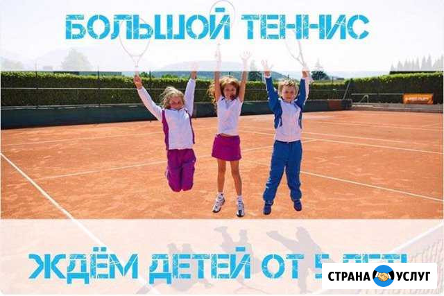 Занятия по большому теннису в Подольске Подольск - изображение 1