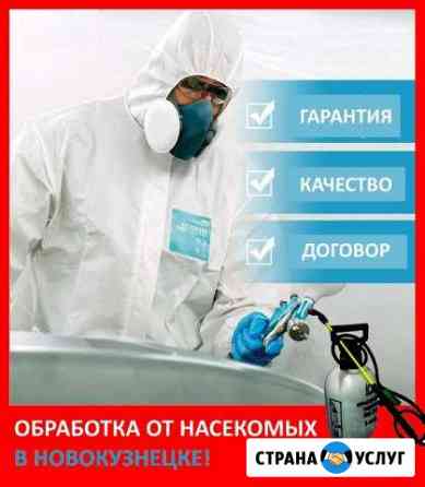 Уничтожение постельных клопов Новокузнецк