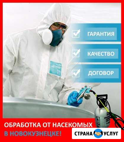 Уничтожение постельных клопов Новокузнецк - изображение 1