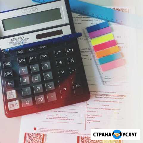 Декларация З-ндфл Бийск - изображение 1