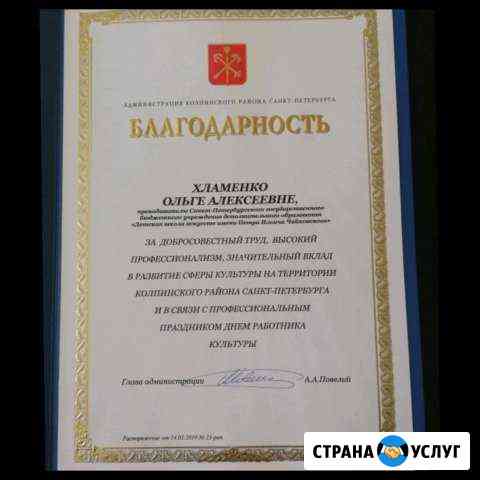 Репетитор по игре на скрипке, уроки Сольфеджио и р Санкт-Петербург