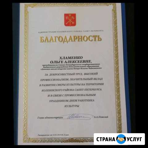 Репетитор по игре на скрипке, уроки Сольфеджио и р Санкт-Петербург - изображение 1