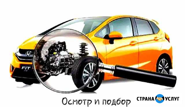 Автоподбор и выездная диагностика автомобиля Москва - изображение 1