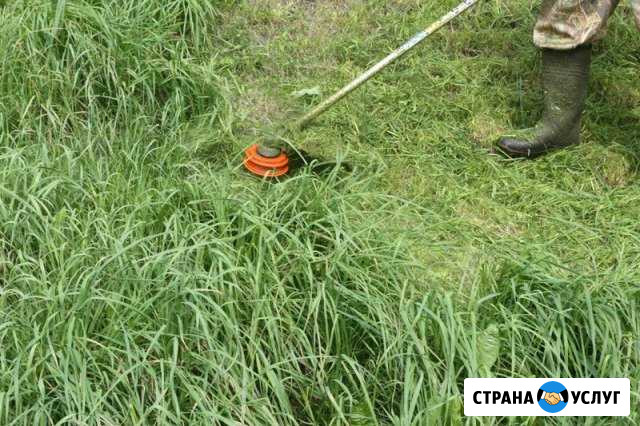 Покос травы Горно-Алтайск - изображение 1