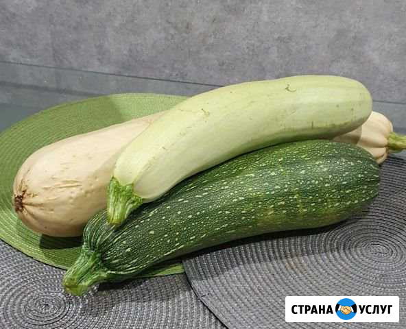 Кабачки цуккини Комсомольск-на-Амуре - изображение 1