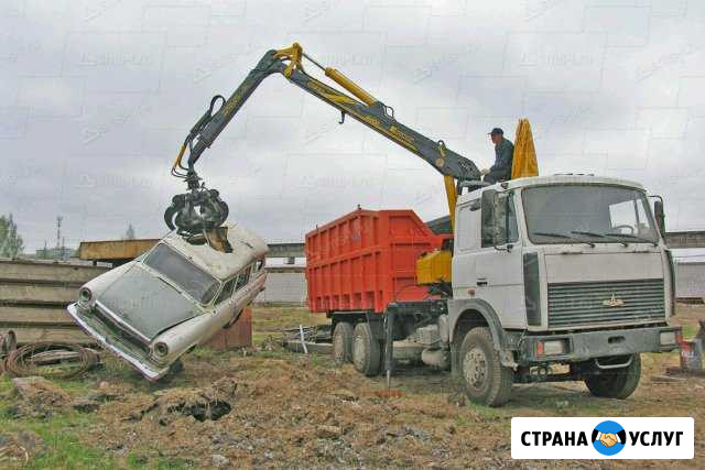 Вывоз мусора Пушкино - изображение 1