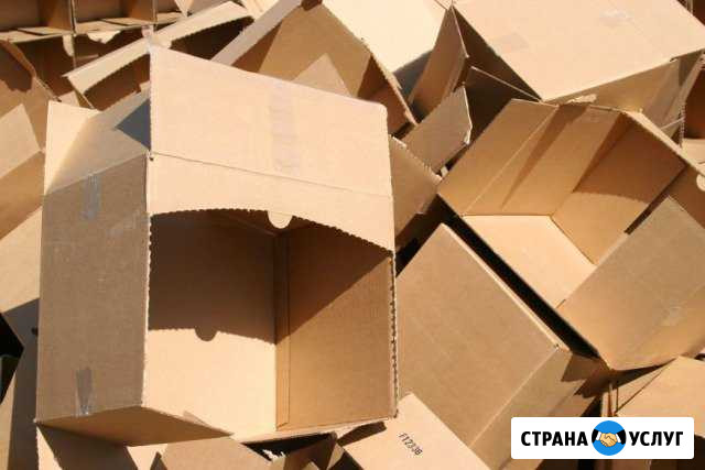 Купим картон, макулатуру, пвд и стрейч-пленку Малино - изображение 1