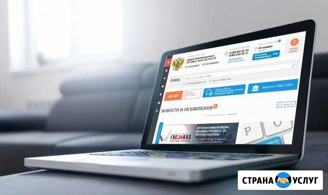 Участие в тендерах на стороне Поставщика Чебоксары - изображение 1