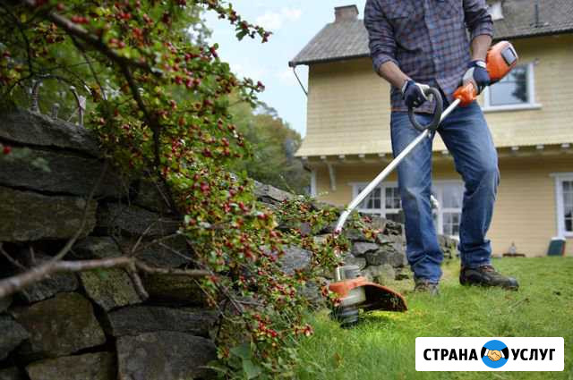 Благоустройство садовых участков Саратов - изображение 1