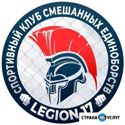 Спортивный клуб смешанных единоборств legion17 Нижнекамск - изображение 1