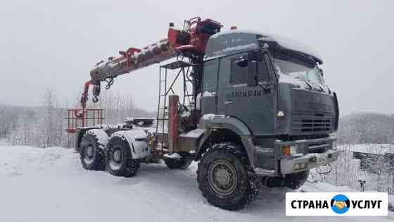 Оказываем услуги спецтехники Тобольск