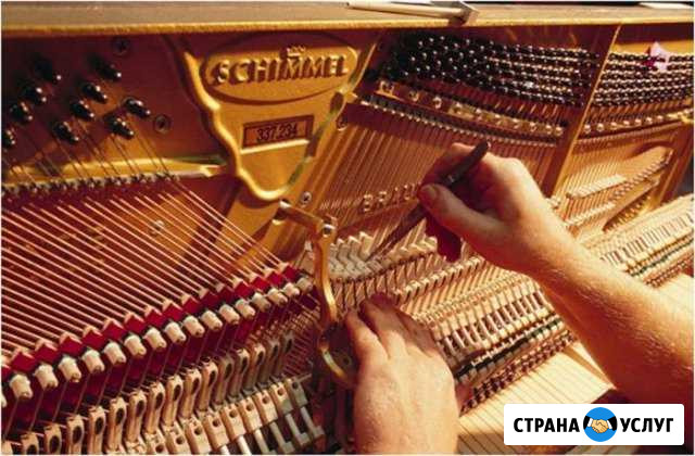 Настройка пианино (фортепиано) Москва - изображение 1