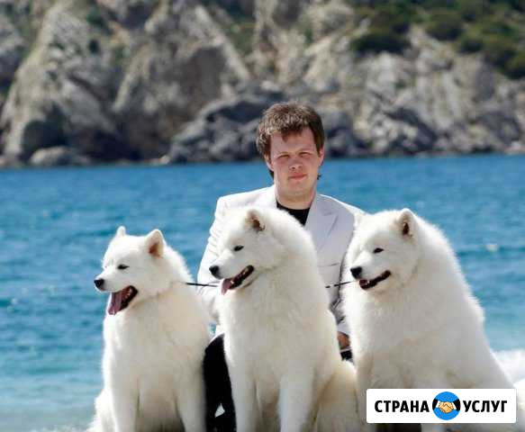 Догситтер передержка Екатеринбург - изображение 1
