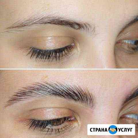Окрашивание бровей. Ламинирование бровей Москва