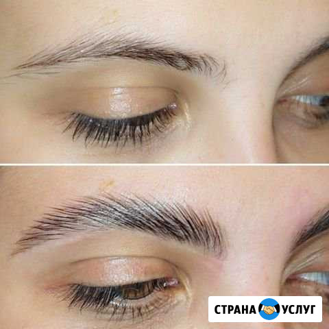 Окрашивание бровей. Ламинирование бровей Москва - изображение 1