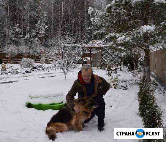 Позабочусь о Вашем питомце. Передержка Ногинск