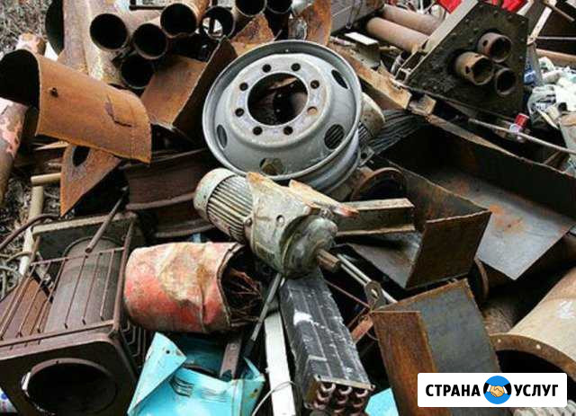 Вывоз металлолома сдать лом, мокулотуру Тихорецк - изображение 1