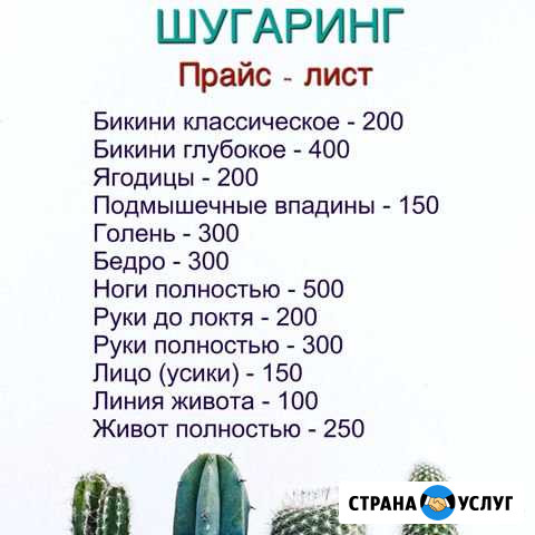 Шугаринг (Левобережный район) Воронеж - изображение 1